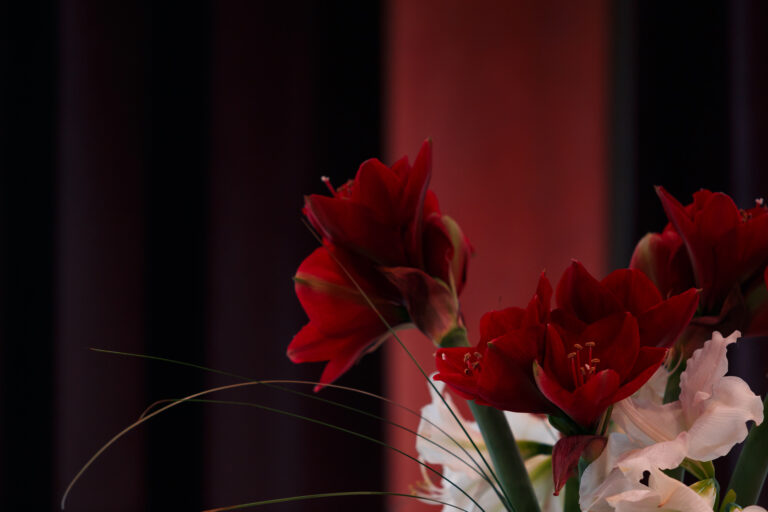 La Saint-Valentin s’emporte